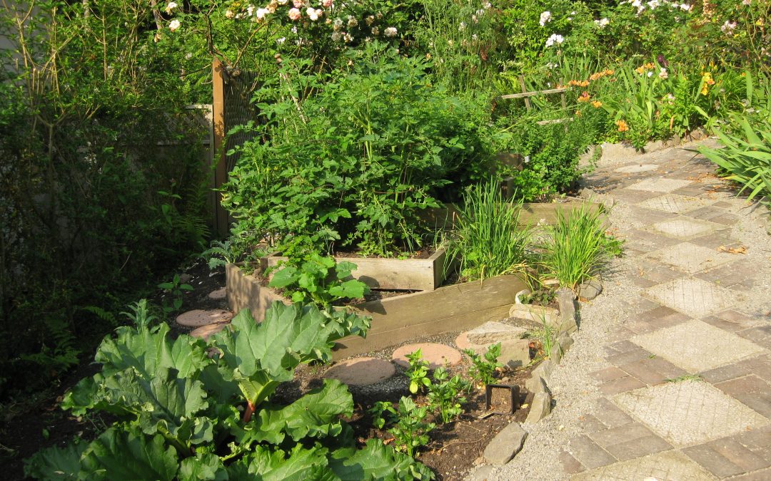Nine Must-Do Steps Before Breaking Ground on your Sustainable Garden