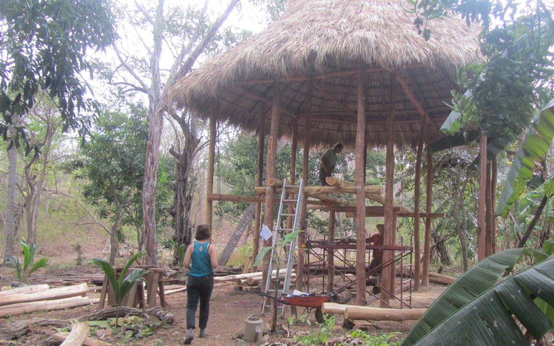 Birdhouse - cabin on stilts